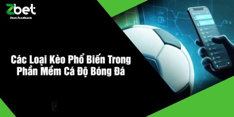 Các Loại Kèo Phổ Biến Trong Phần Mềm Cá Độ Bóng Đá