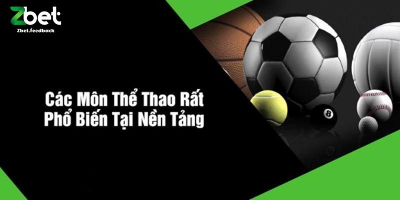 Các Môn Thể Thao Phổ Biến Tại Sảnh Thể Thao Của ZBET