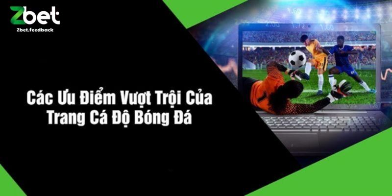 Các Ưu Điểm Vượt Trội Của Trang Cá Độ Bóng Đá