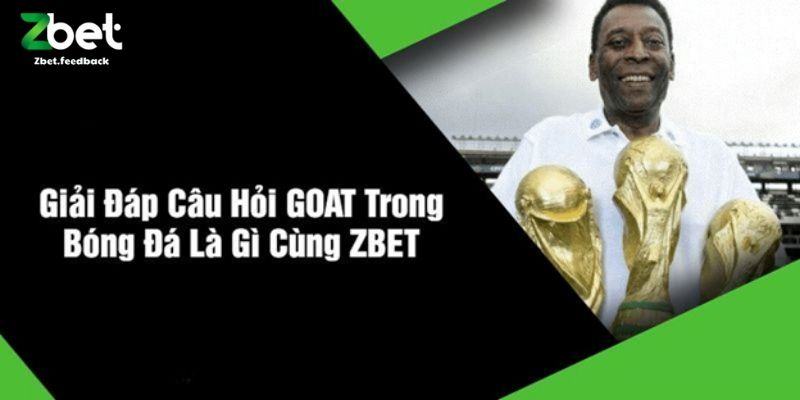 Giải Đáp Câu Hỏi GOAT Trong Bóng Đá Là Gì Cùng ZBET