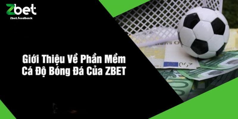 Giới Thiệu Về Phần Mềm Cá Độ Bóng Đá Của ZBET