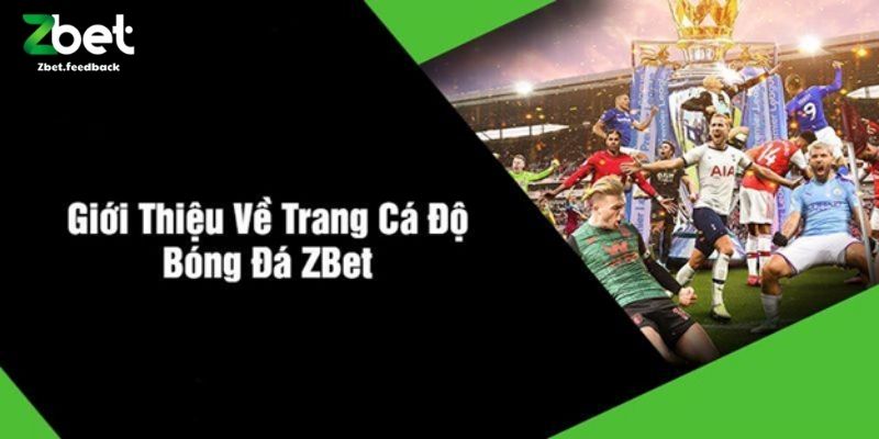 Giới Thiệu Về Trang Cá Độ Bóng Đá ZBET