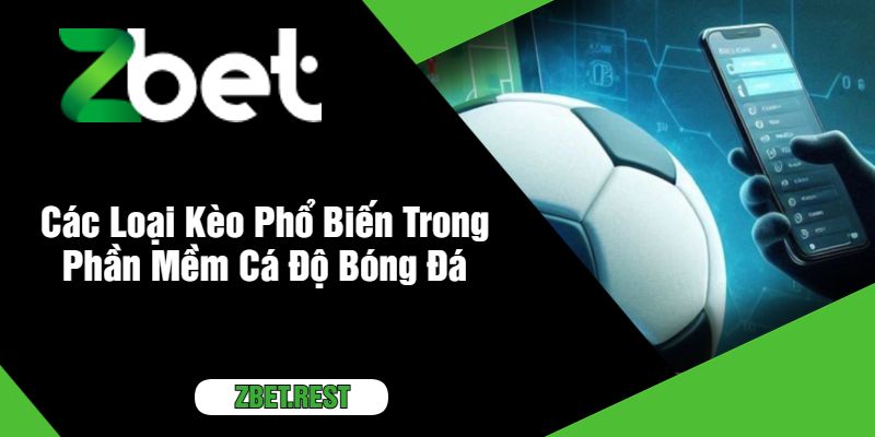 Các Loại Kèo Phổ Biến Trong Phần Mềm Cá Độ Bóng Đá